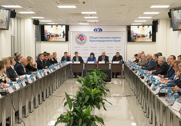 Ирина Сташевская приняла участие в пленарном заседании Общественной палаты Краснодарского края